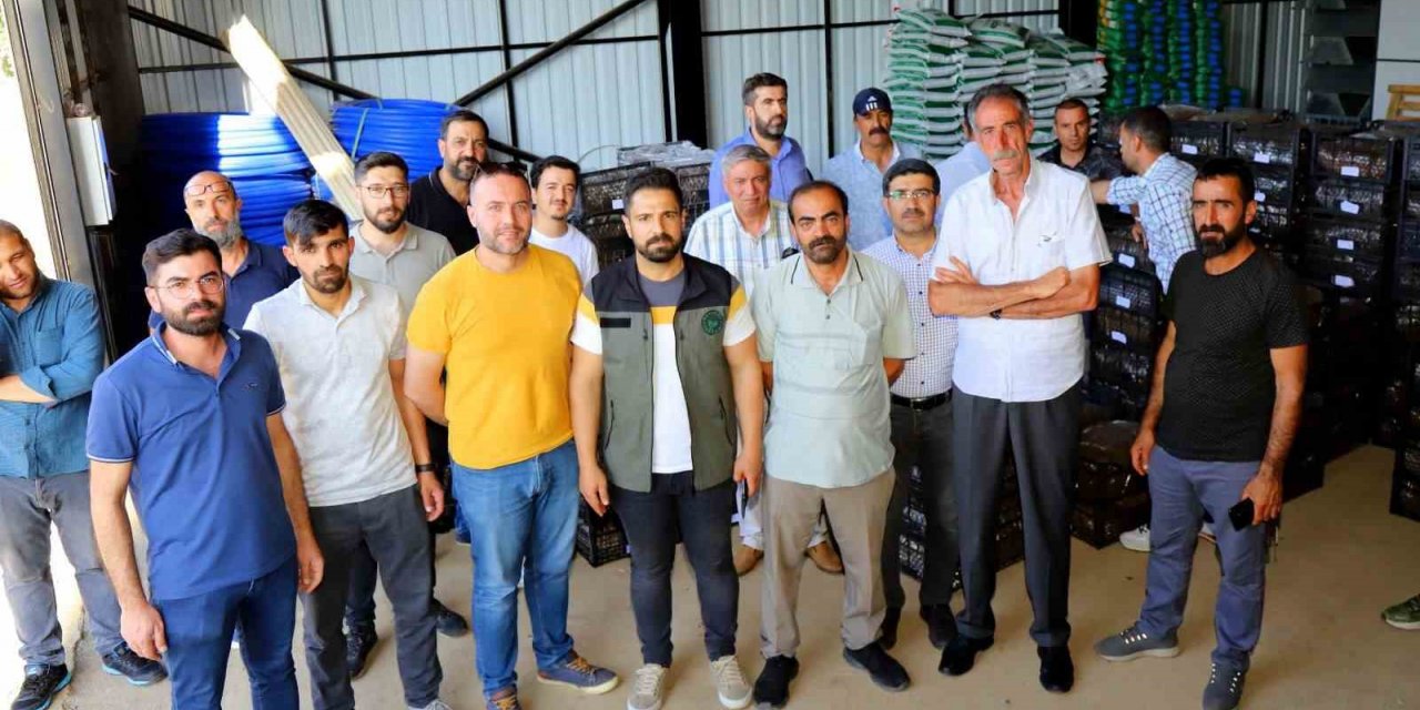 Bingöl’de 170 bin adet çilek fidesi dağıtıldı