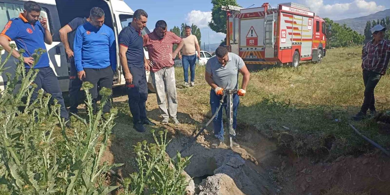 Muş’ta kapağı çalınan menhole düşen inek 2 saatlik çalışma sonucu kurtarıldı