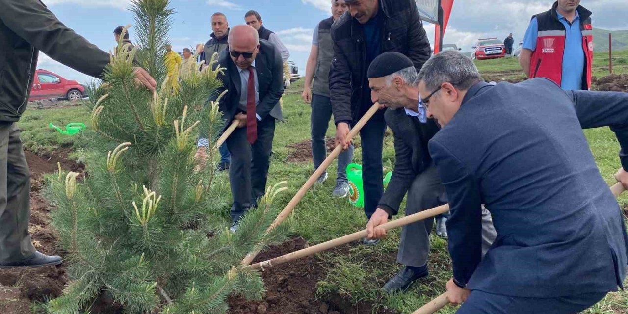 Şehidin hatırasına bin ağaç