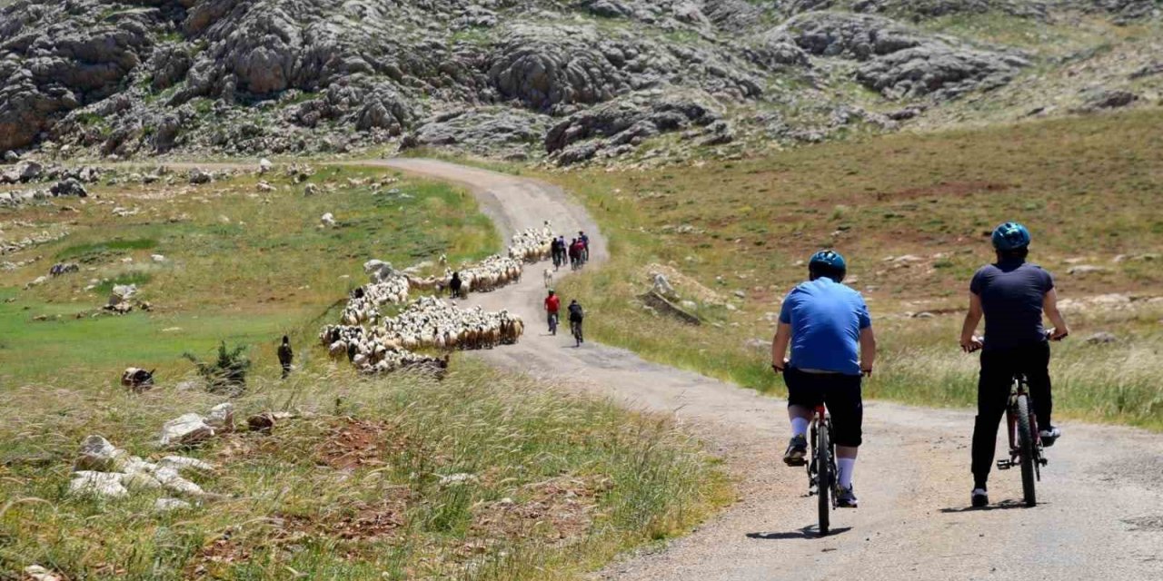 44. Uluslararası Kemaliye Kültür ve Doğa Sporları Şenliği 23 Haziran’da başlıyor