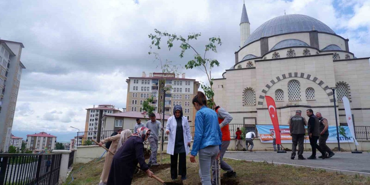 Erzurum Sağlık Müdürlüğü’nden fidan dikimi