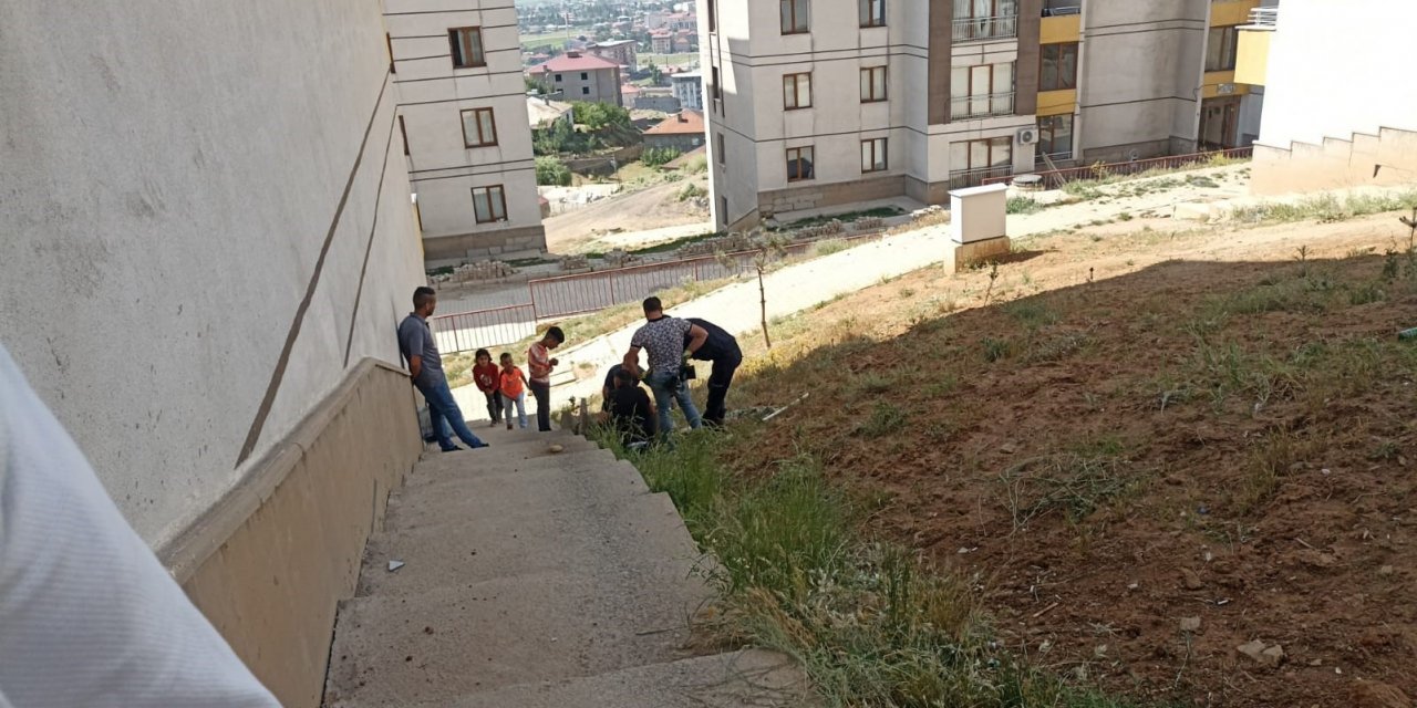 Kuyuya düşen yavru kediyi ekipleri kurtardı