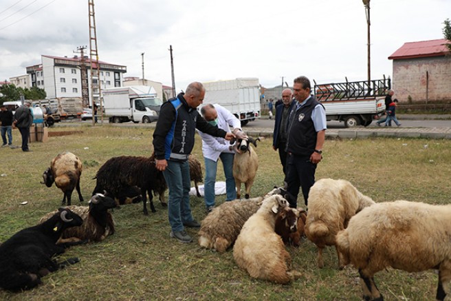 Kars Belediyesi, Kurban Bayramı öncesi denetimlerini sürdürüyor