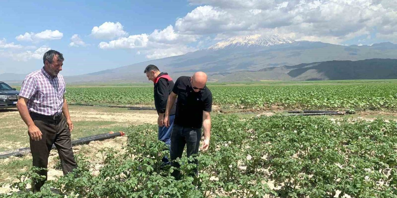 Doğubayazıt Kaymakamı Ekinci, meyve ve sebze bahçelerinde incelemelerde bulundu