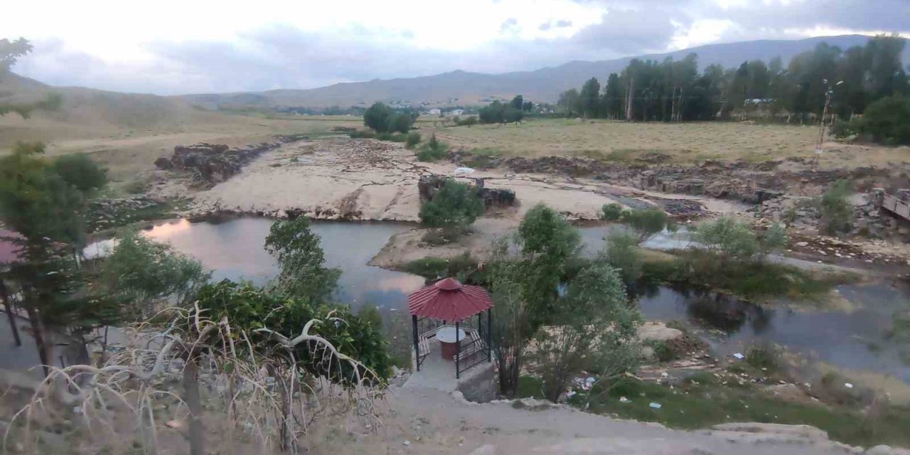 Bendimahi Çayı kurudu, yavru inci kefalleri mahsur kaldı