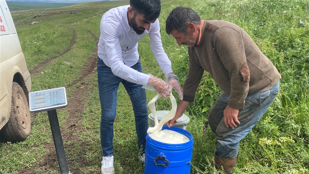 Yayla çeçili, Mayıs yağı üretimi başladı