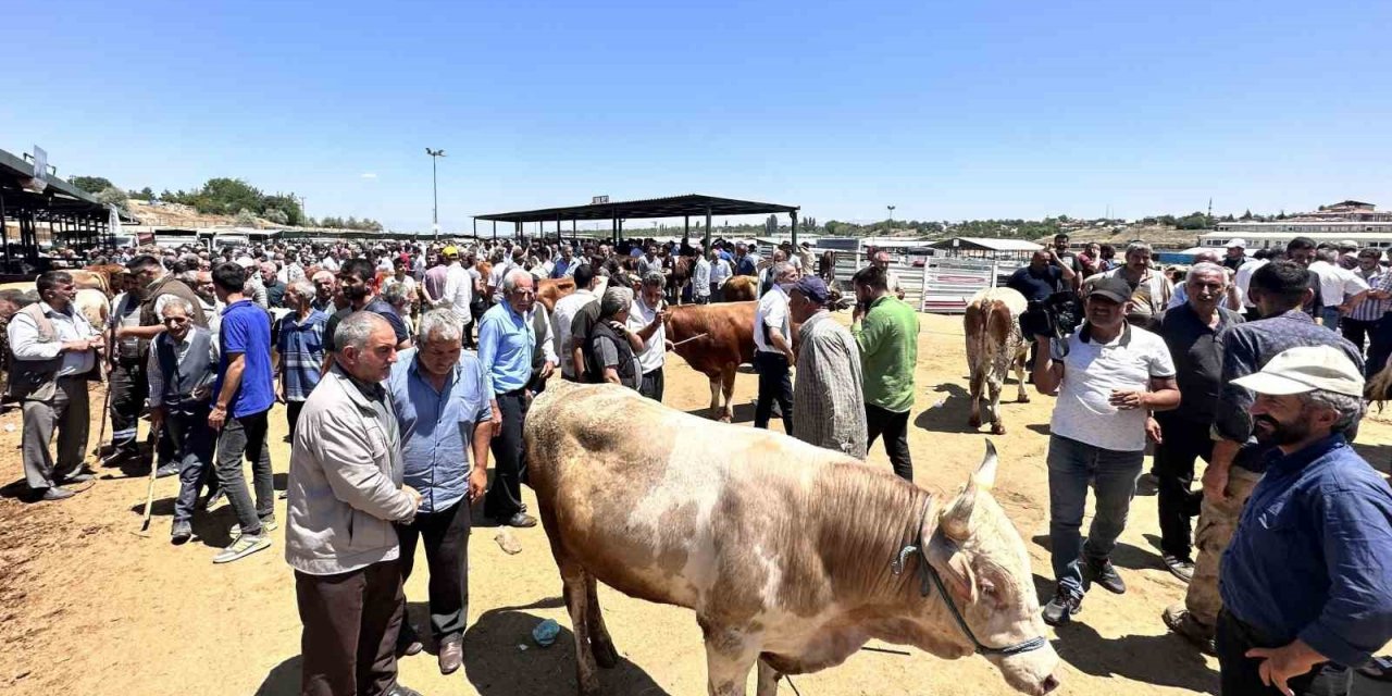 Malatya’da canlı Hayvan Pazarı’nda Arife günü yoğunluğu