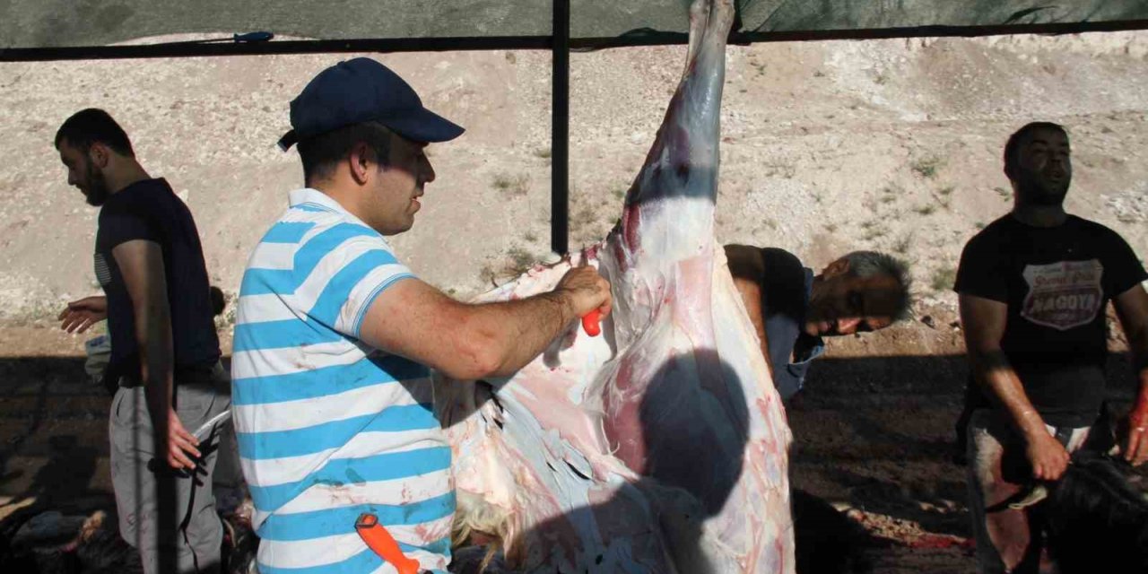 Elazığ’da bayram namazından çıkan vatandaşlar, kurbanlarını kesti