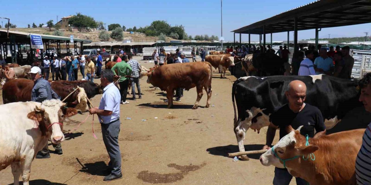 Bayramın 1.günü canlı hayvan pazarında hareketlilik sürüyor