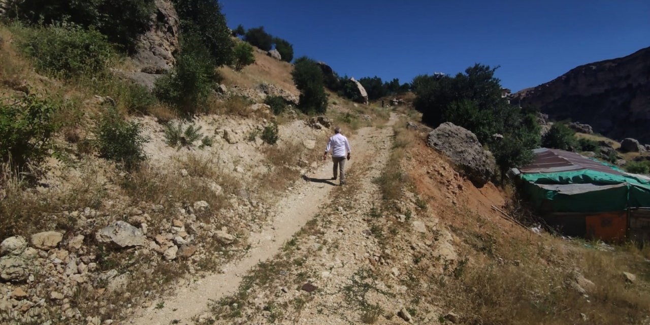 Bayram sabahı kaçan kurbanını bulmak için 3 gündür arazi arazi geziyor