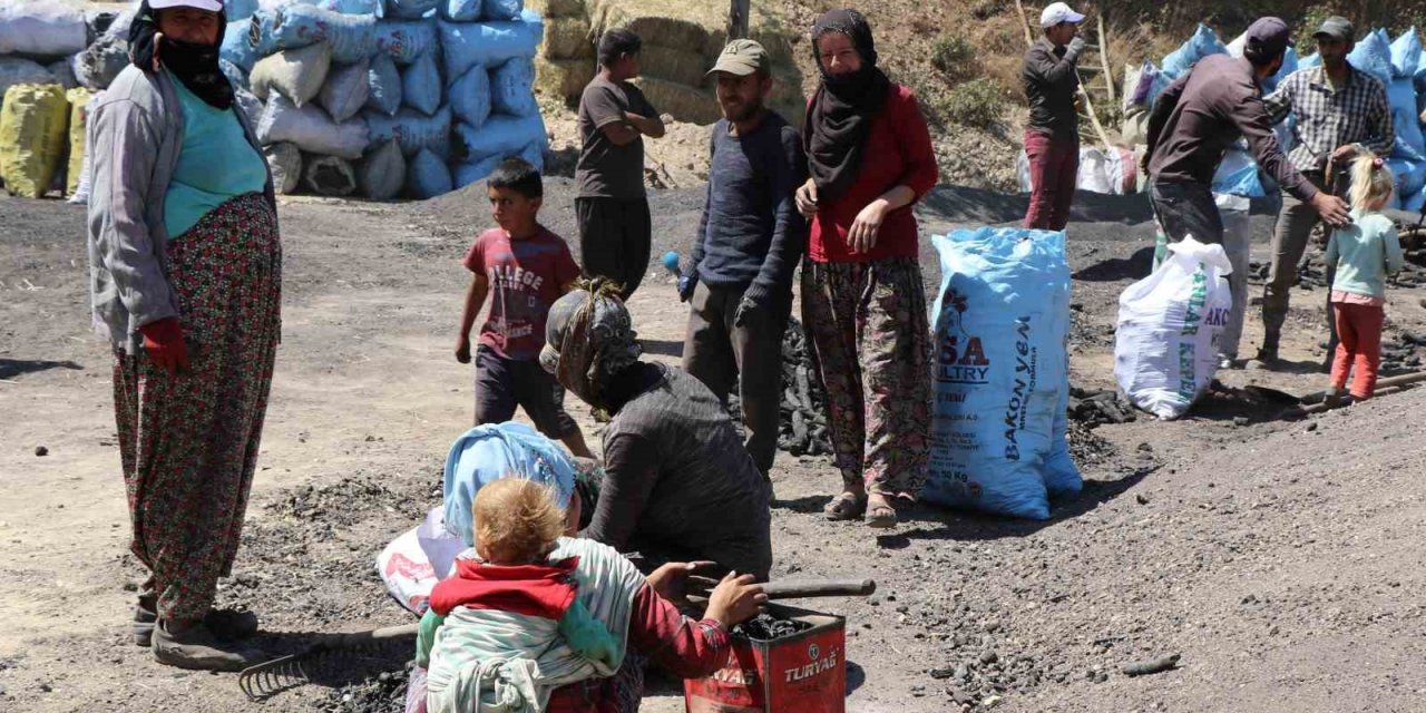 Mangal kömürü üretmek için gece gündüz mesai yapıyorlar