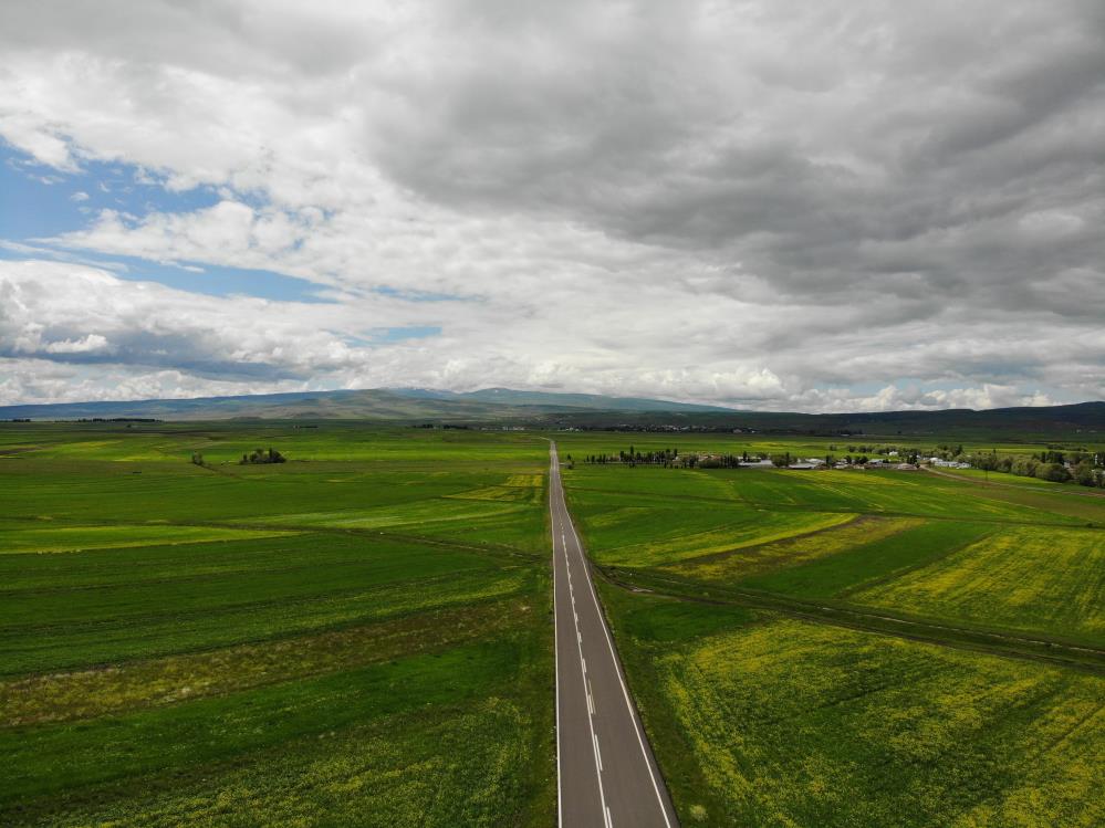 Kars rengarenk çiçek açtı