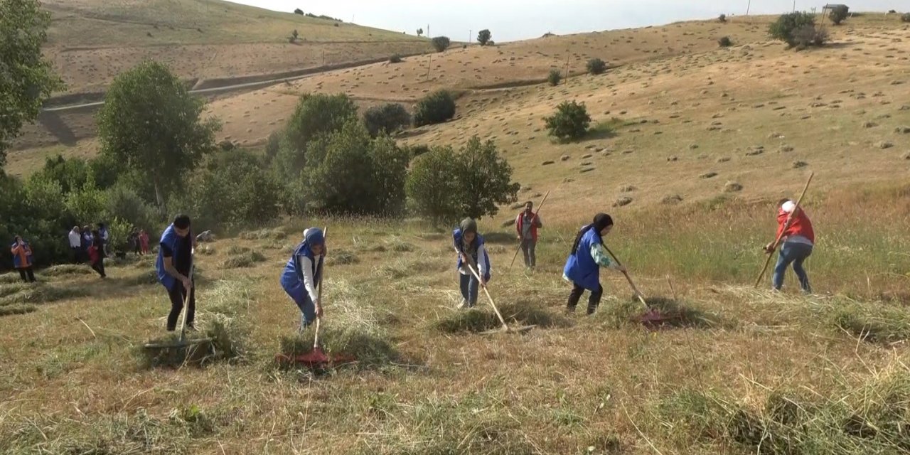 Muşlu gençler, hastası olan yaşlı adamın otunu biçti