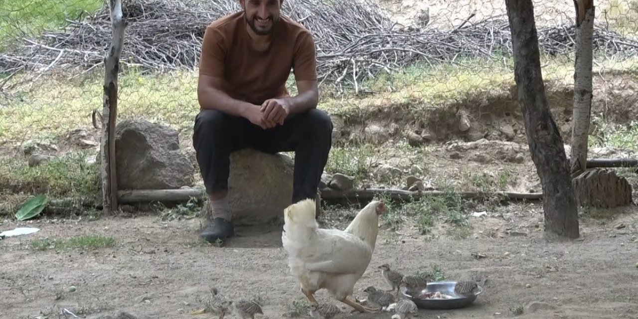 Duyarlı çobanın çabası sayesinde keklik yavruları yumurtadan çıktı