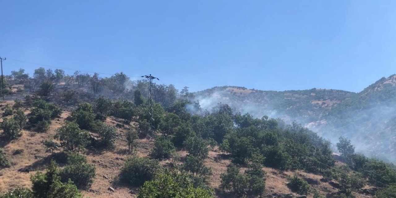 Bingöl’de ormanlık alanda korkutan yangın