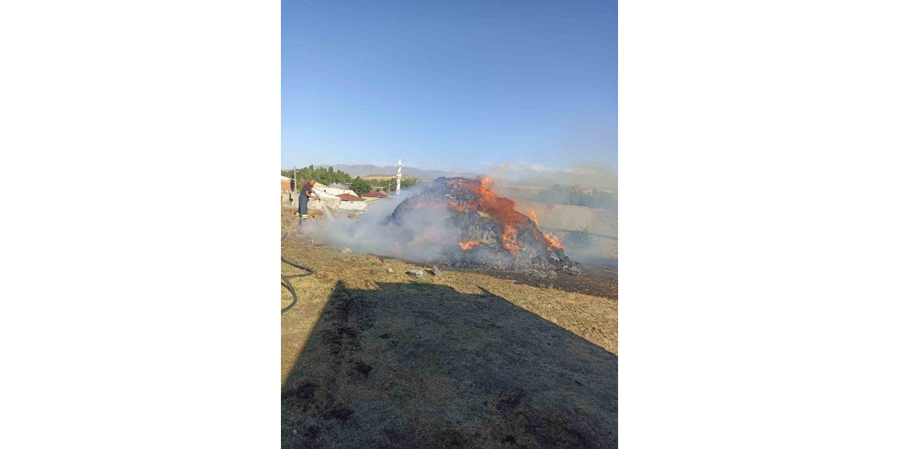 Ağrı’da bir bahçe küle döndü