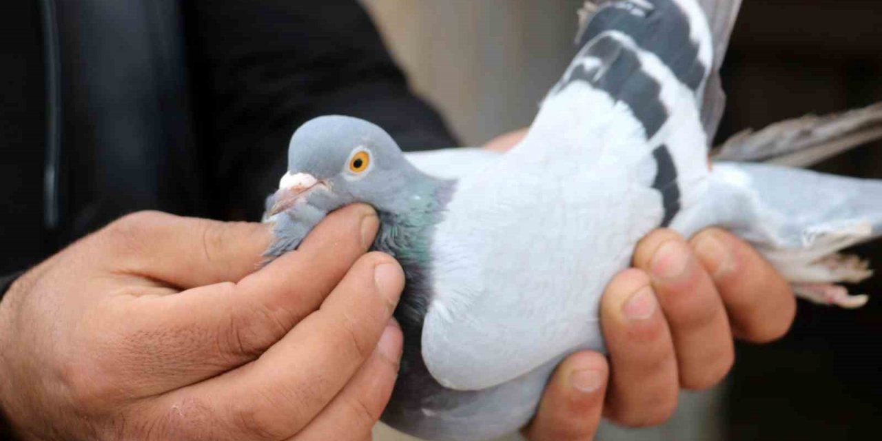 Vazgeçilmeyen bir tutku, saatlerce yanlarında bekliyorlar