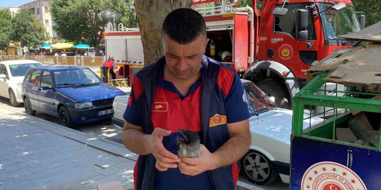 Yere düşen yavru kargayı yuvasına koyan itfaiye ekipleri, vatandaşları anne karganın saldırısından kurtardı