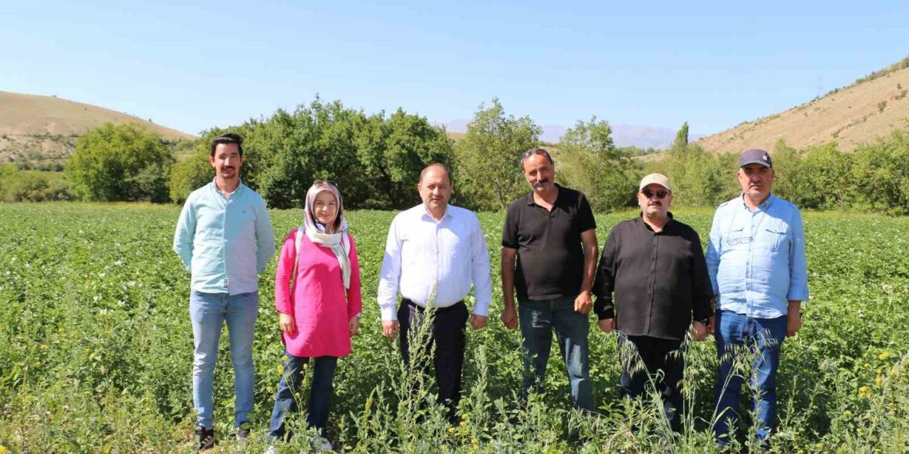 Erzincan’da patates projesi başarıyla uygulanıyor