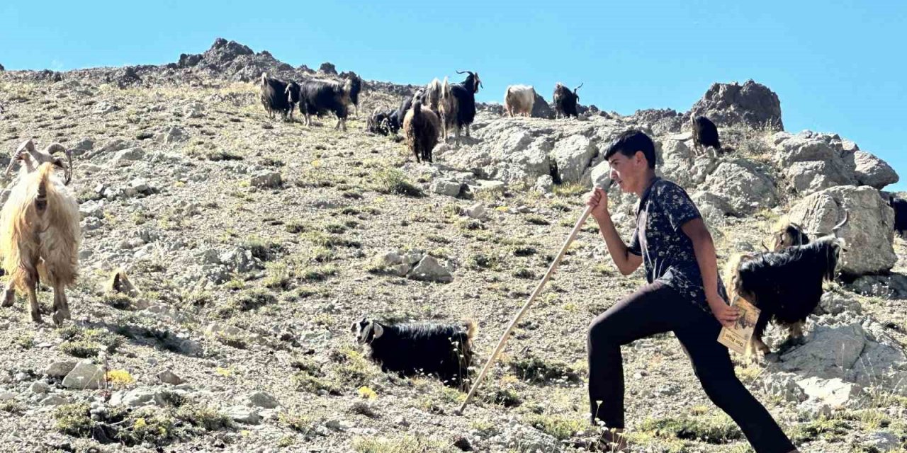 Yaylada çobanlık yapan ve LGS’de Türkiye ikincisi olan Muhammet’in kazandığı lise belli oldu