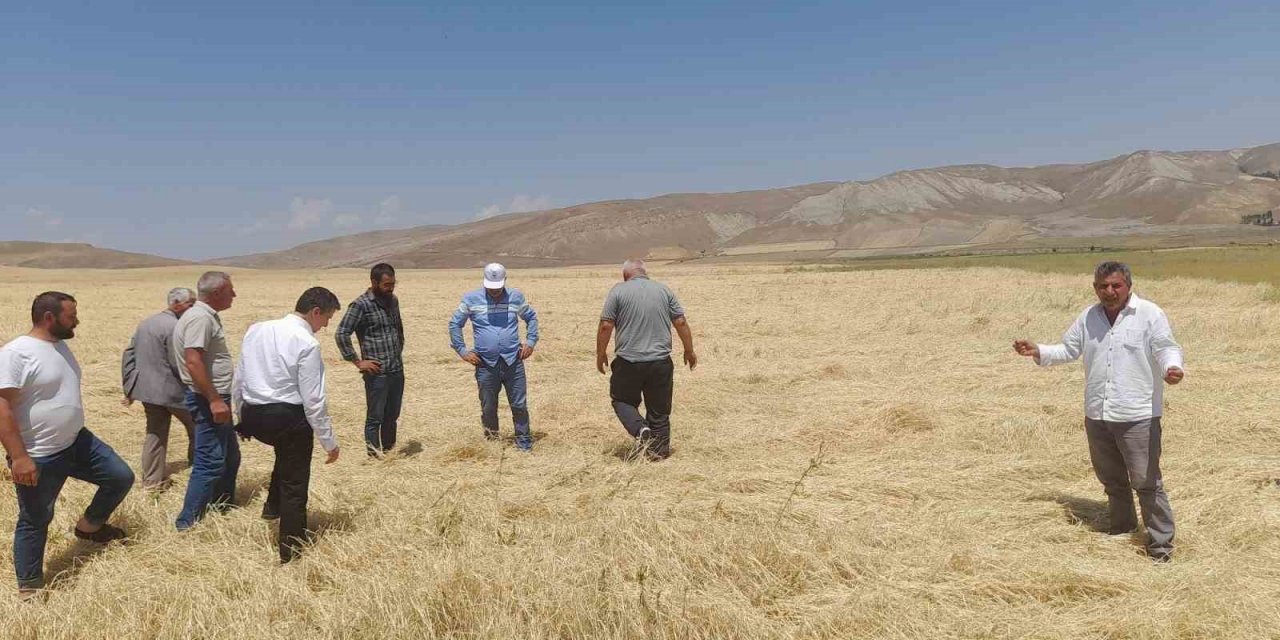 Dolu yağışı tarım arazilerine zarar verdi