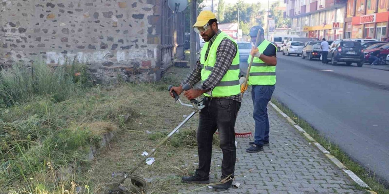 Ağaçlar budanıp yabani otlar temizlendi