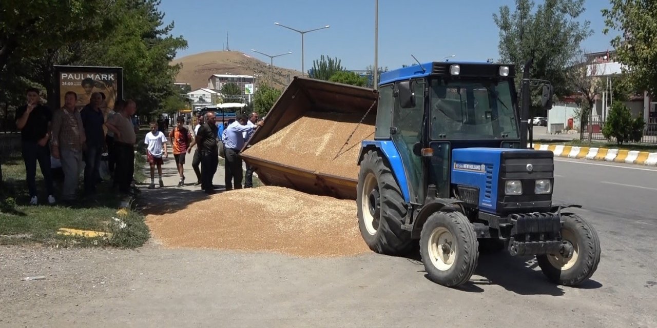 Muş’ta buğday yüklü römork devrildi