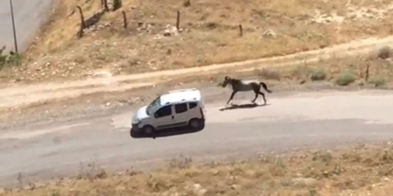 Atı aracın arkasına bağlayıp koşturan şahsa ceza