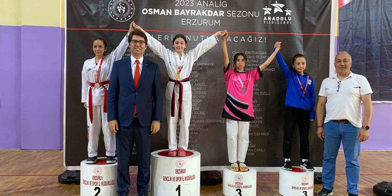 Aşkale’de Taekwondo Analig grup müsabakaları başladı