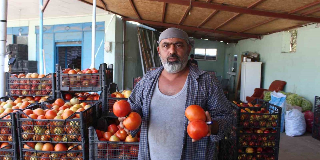 Iğdır’da yetiştirilen sebze ve meyveler il dışına satılıyor