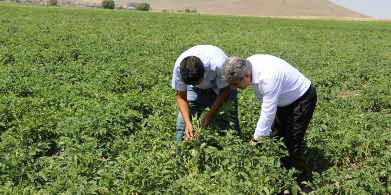 Ağrı’da patates üreticilerine destek