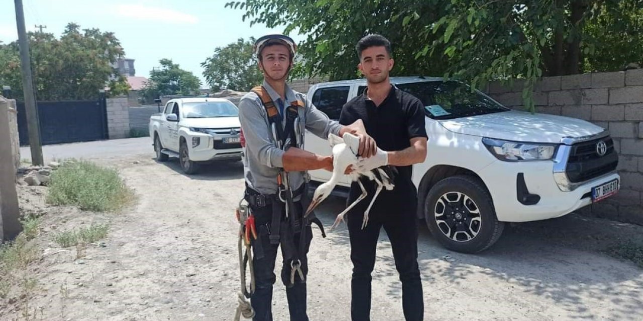 Yuvasında mahsur kalan leylek kurtarıldı