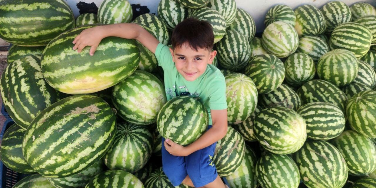 ’Hıdıroz’ karpuzu tezgahlardaki yerini aldı