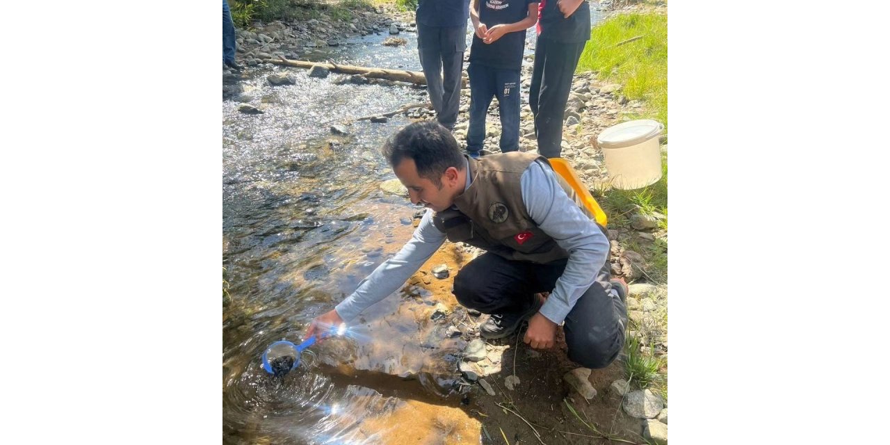 Kars’ta derelere alabalık bırakıldı