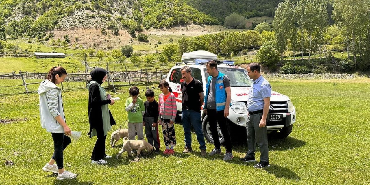 Doğada bulunurken kene popülâsyonuna dikkat!