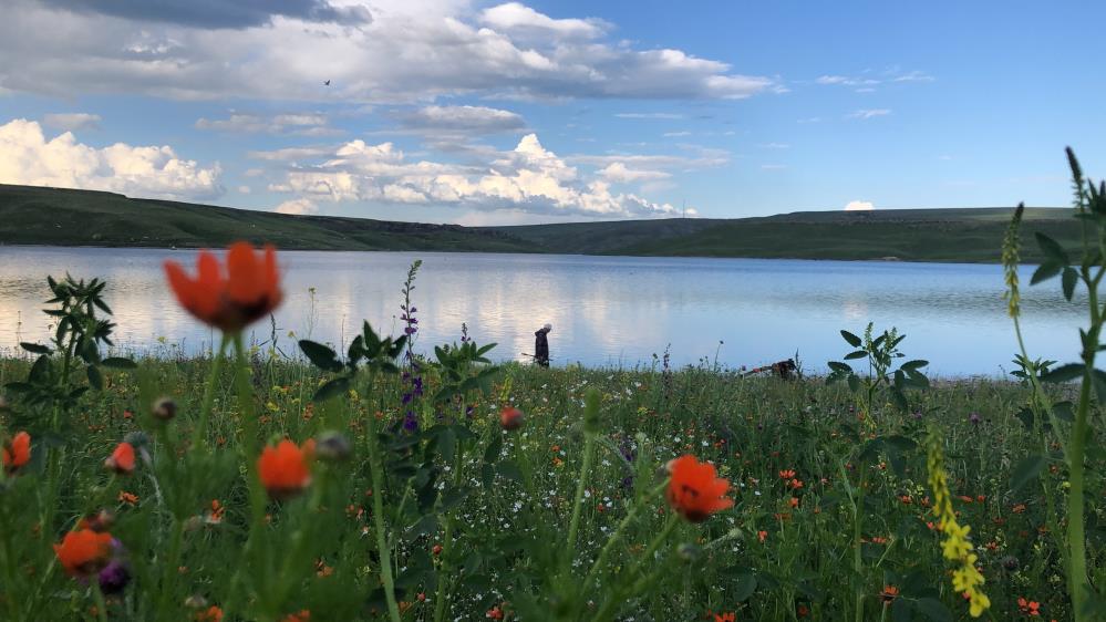 Kars Baraj Gölü’nde kartpostallık görüntüler