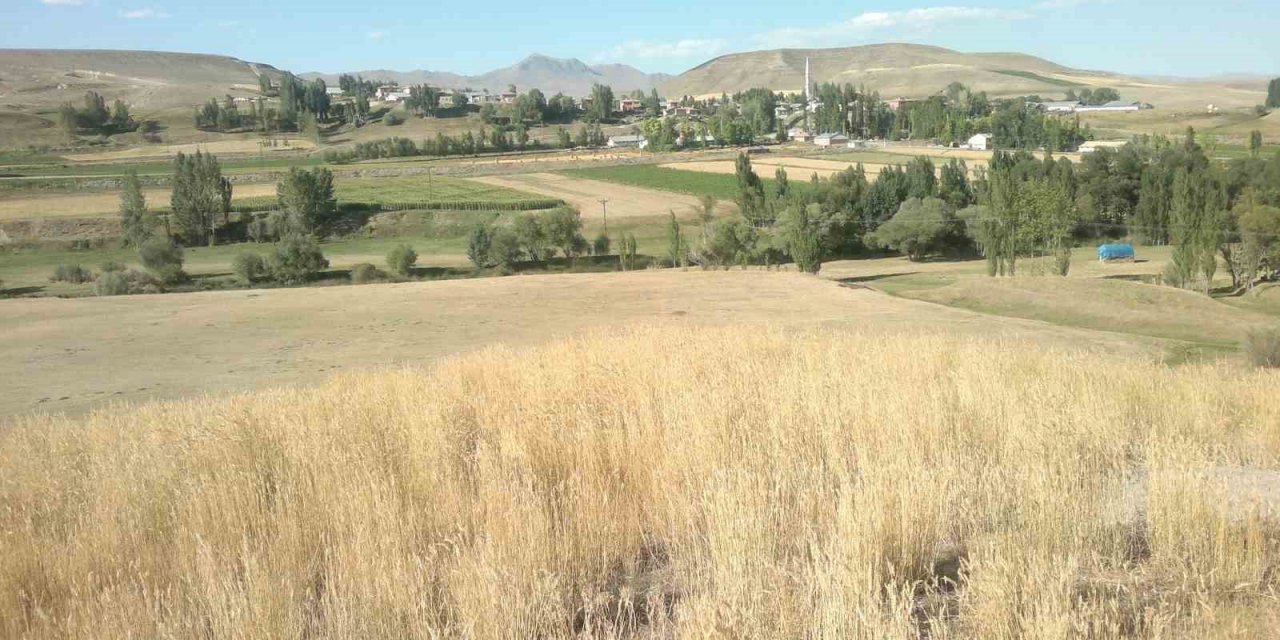 Küçük çocuğun cansız bedeni kanalda bulundu