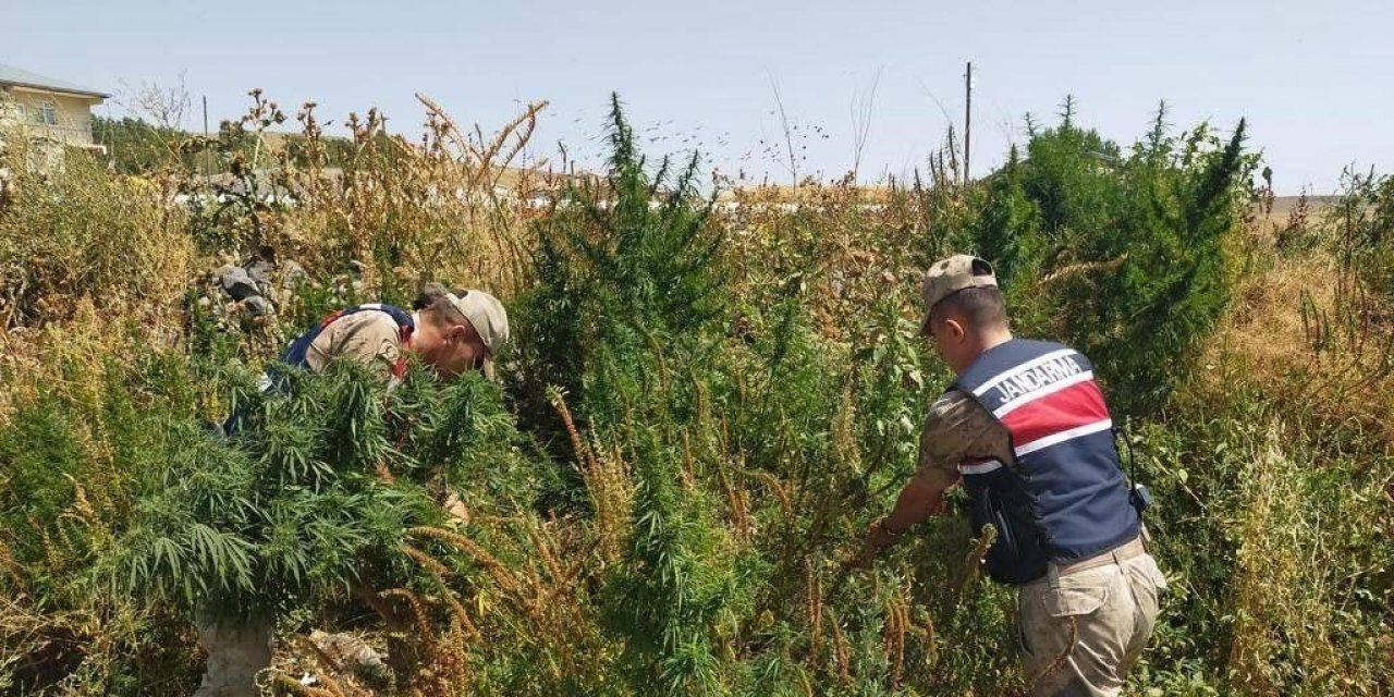 Kars’ta jandarmadan zehir tacirlerine darbe