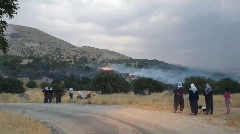 Elazığ’da düşen yıldırım otluk alanları yaktı