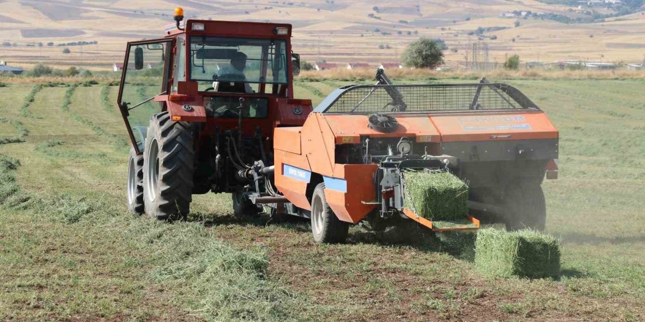 Elazığ’da balyalama  mesaisi başladı