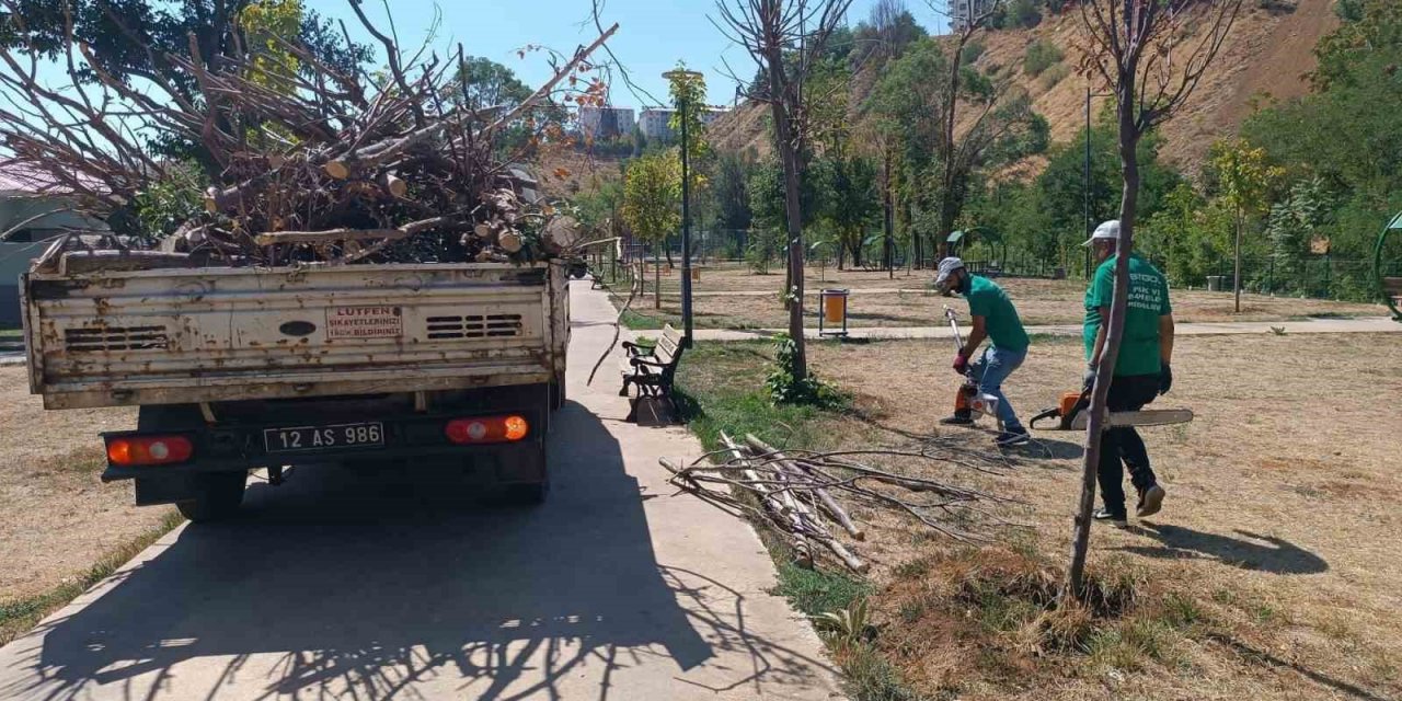 Bingöl Belediyesi, park ve bahçelerde bakım onarım çalışması başlattı