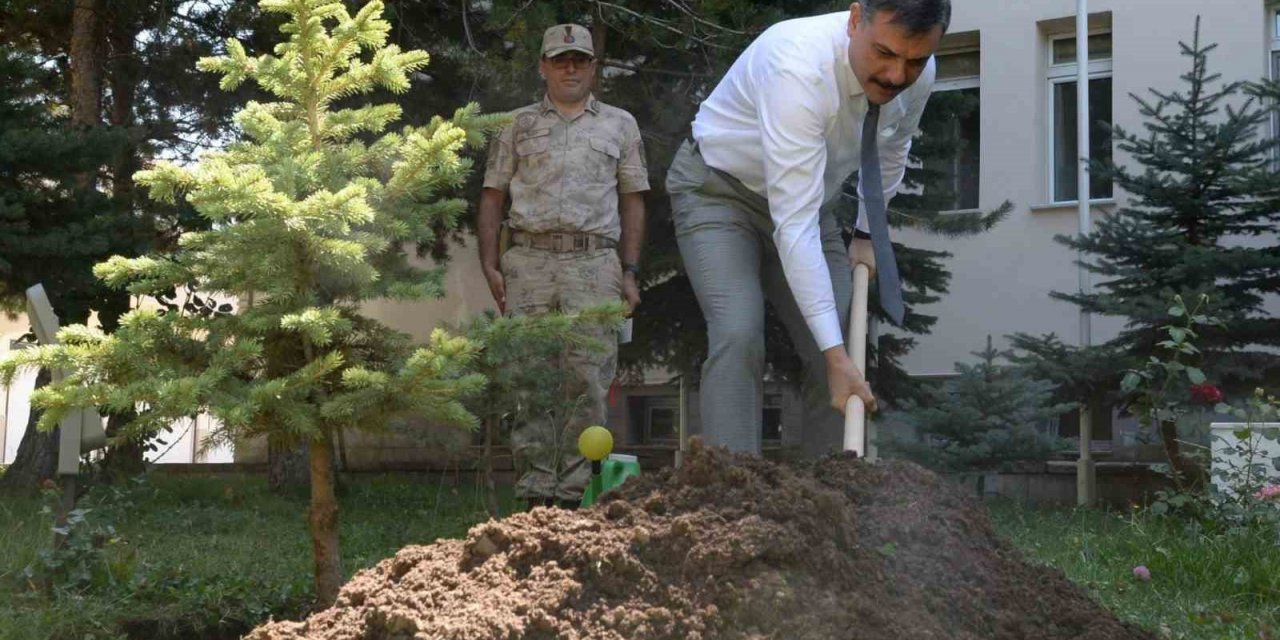 Vali Çiftçi fidan dikti
