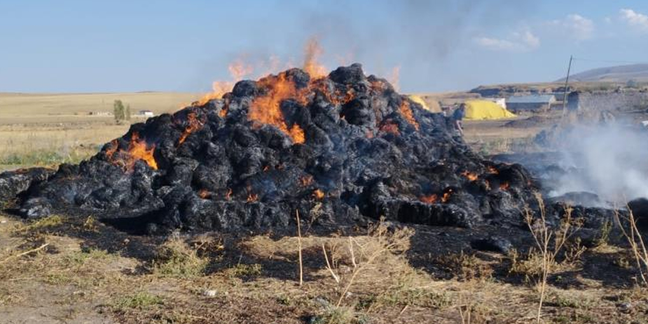 Kars’ta 20 ton ot yanarak kül oldu