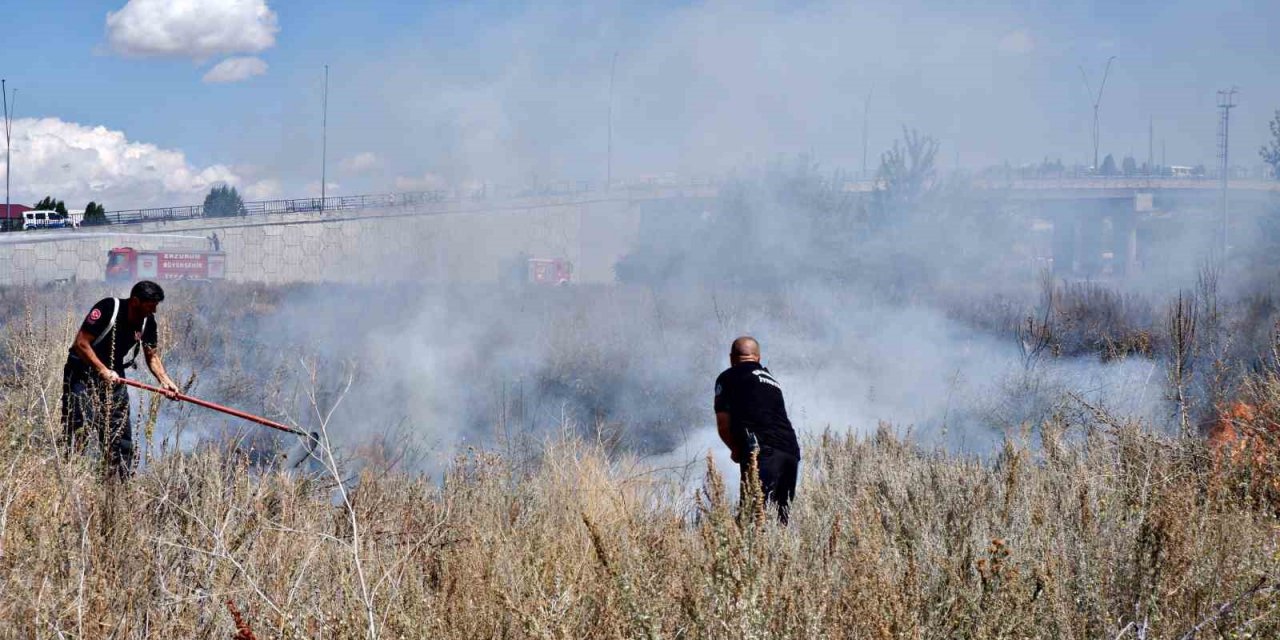 Ot yangınında ortalığı alev sardı