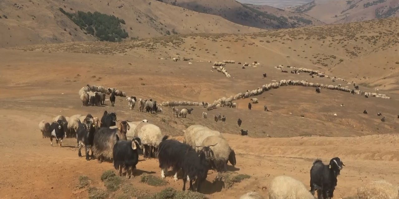 Yaylacılar büyük göç öncesi son hazırlıklarını tamamladı