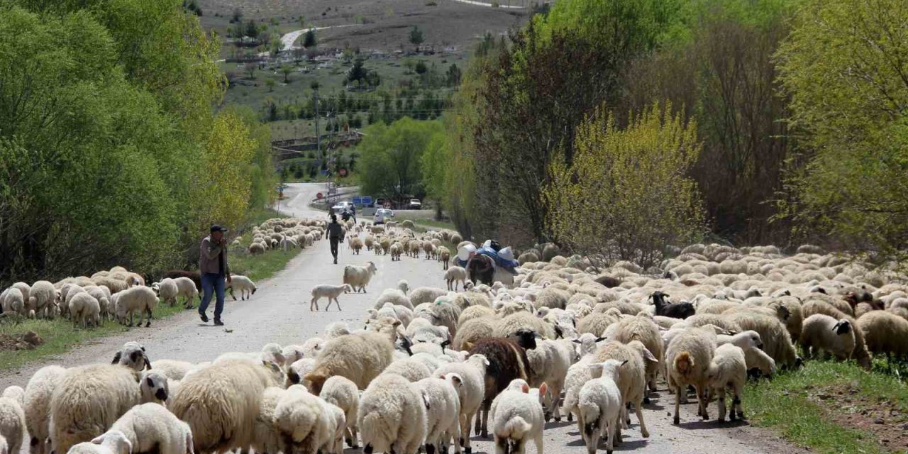 Yayla mesaisini tamamlayan Doğu Anadolu’daki göçerler dönüş yolunda