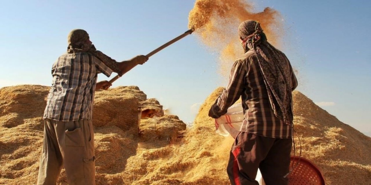 Tarımsal girdi fiyat endeksi yıllık yüzde 34,32, aylık yüzde 6,56 arttı