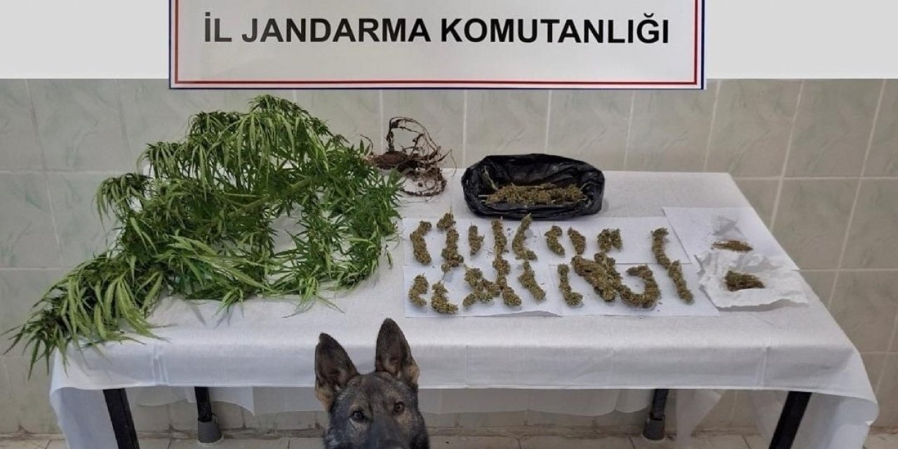 Erzincan’da jandarma ekipleri suça geçit vermiyor