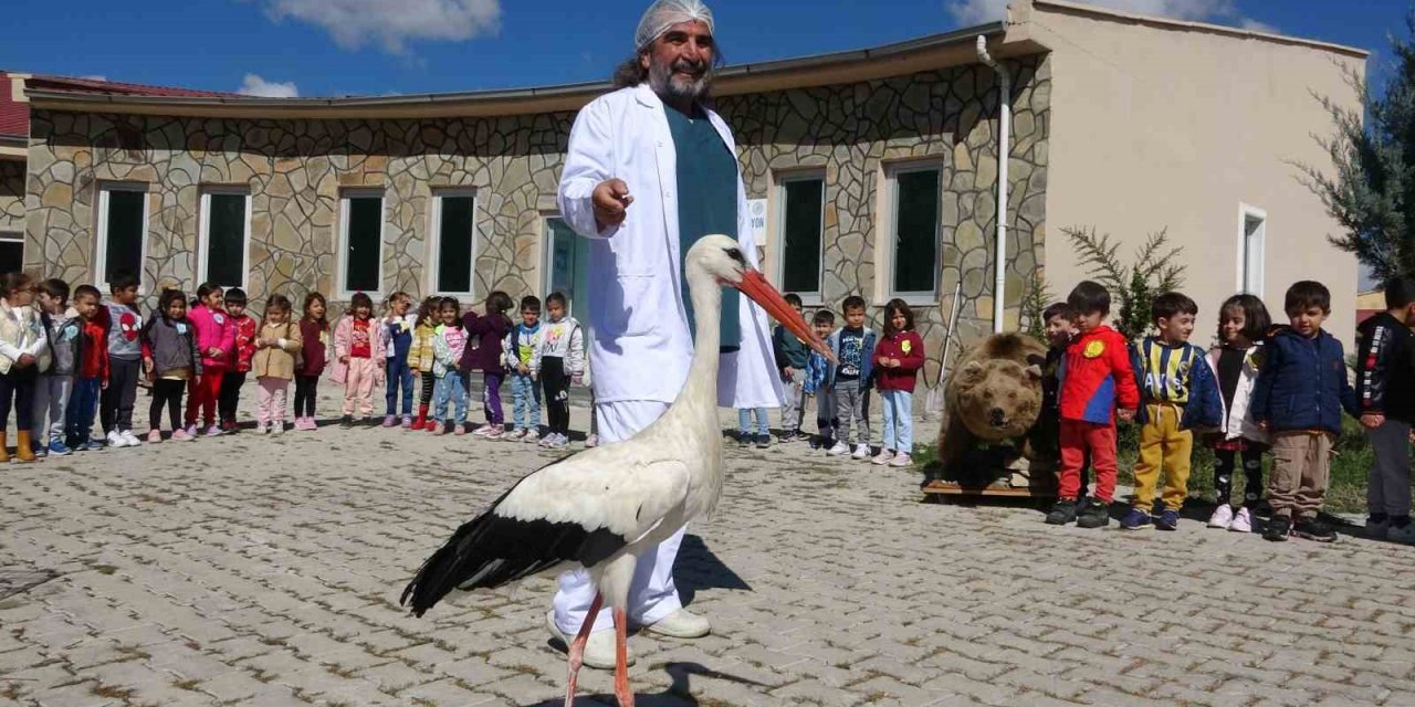 Minik öğrenciler yaban hayvanlarını yakından gördü