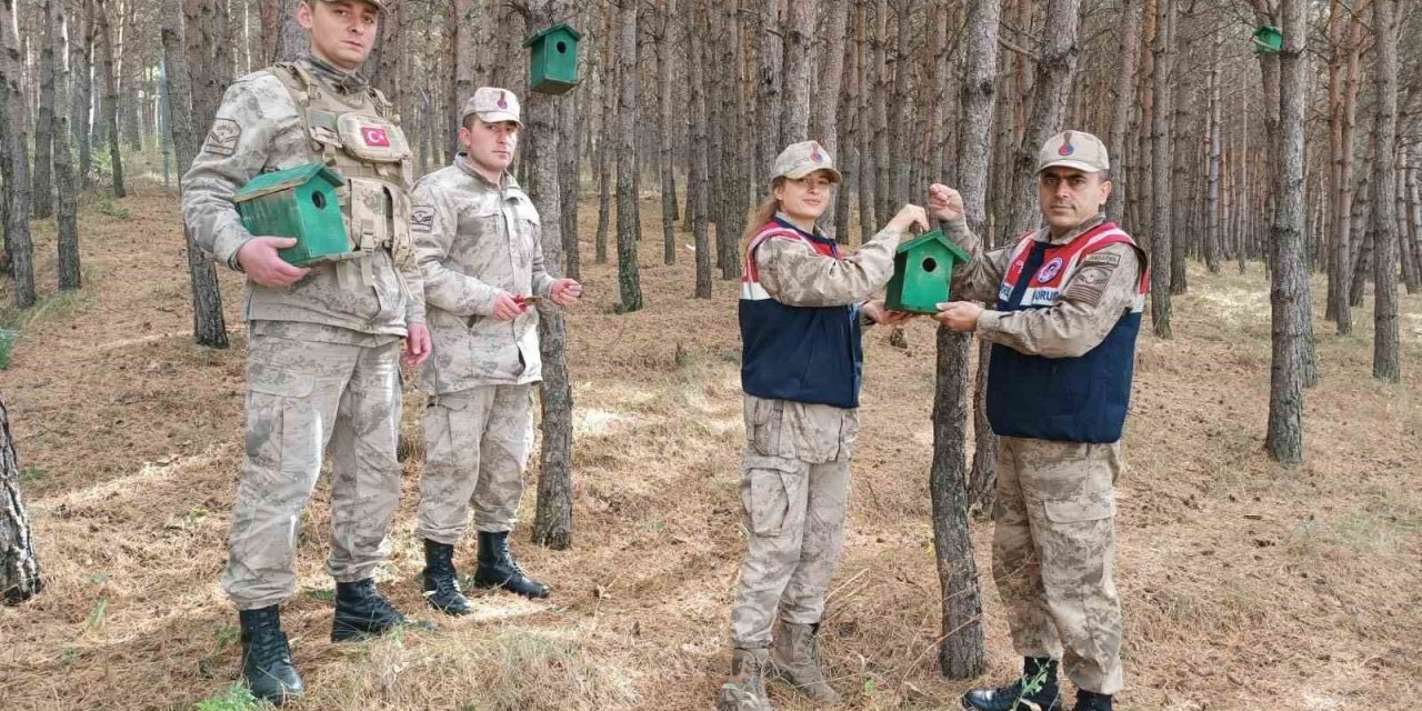 Ardahan’da ormana 20 adet kuş kafesi konuldu
